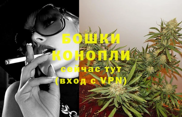 соль ск Богданович