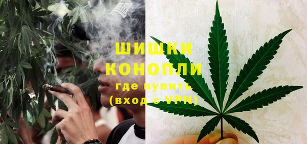 трава Бронницы