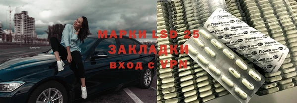 прущие грибы Богородск