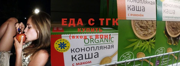 соль ск Богданович