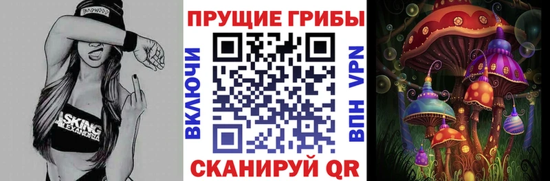 Псилоцибиновые грибы мицелий купить цена Щучье